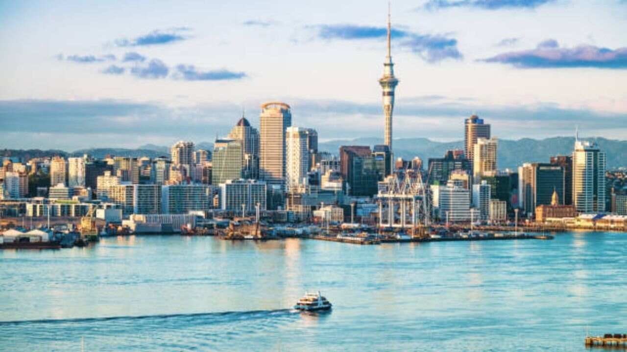 Auckland Office