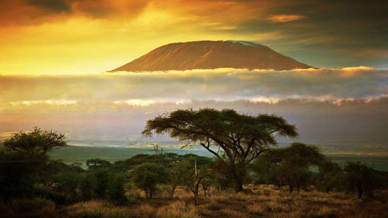 Kilimanjaro Office