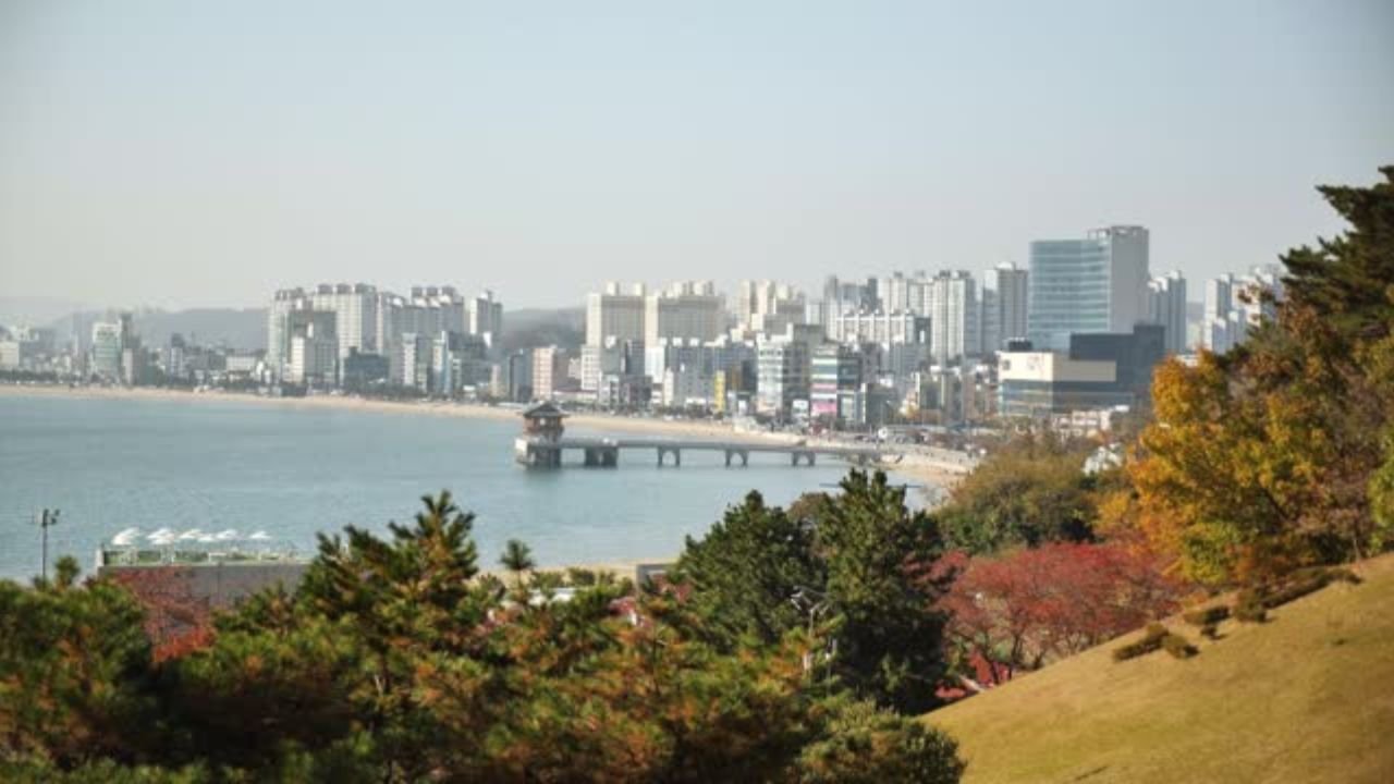 Pohang Office