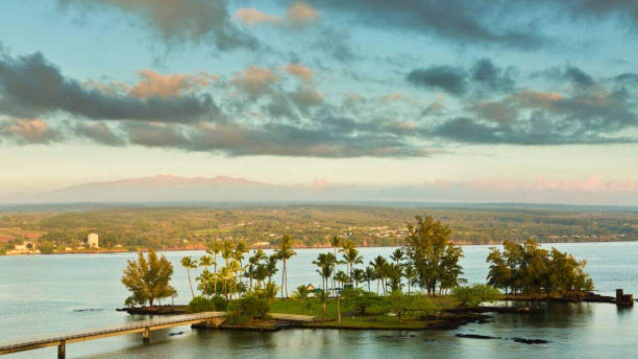 FlexFlight Coconut Island Office in Australia