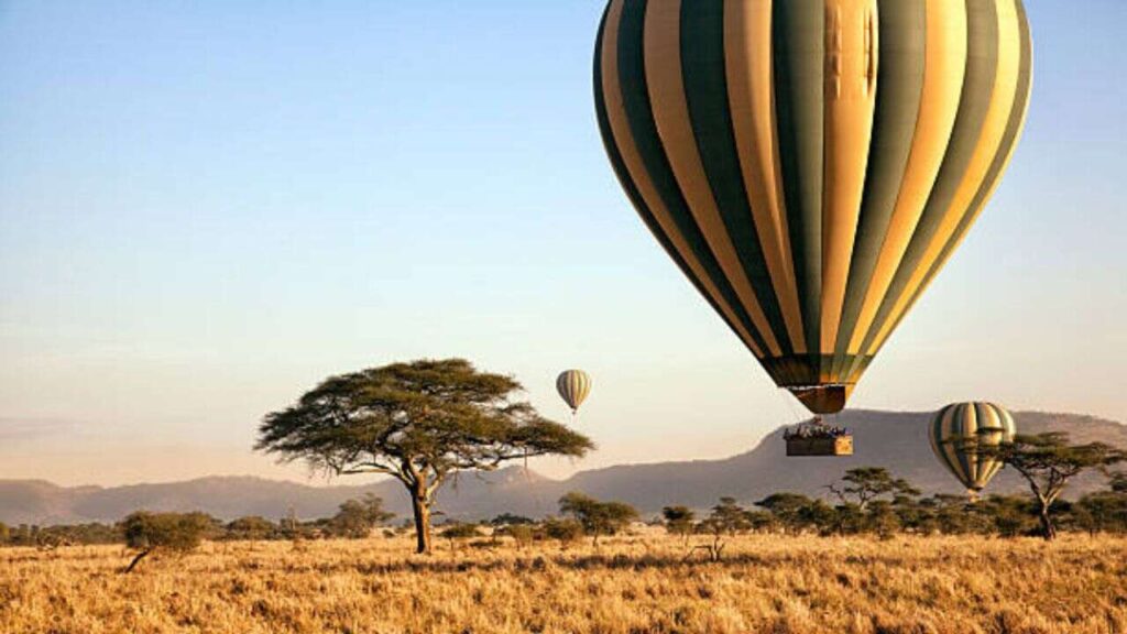 FlexFlight Seronera Office in Tanzania